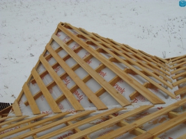 novye_foto_068.jpg
