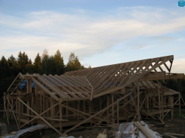 161.jpg